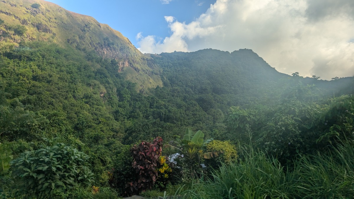 PXL_20251126_124950858