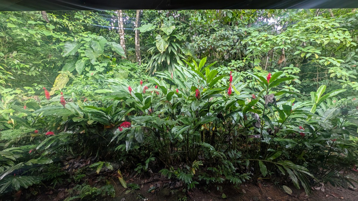 PXL_20251126_132212773