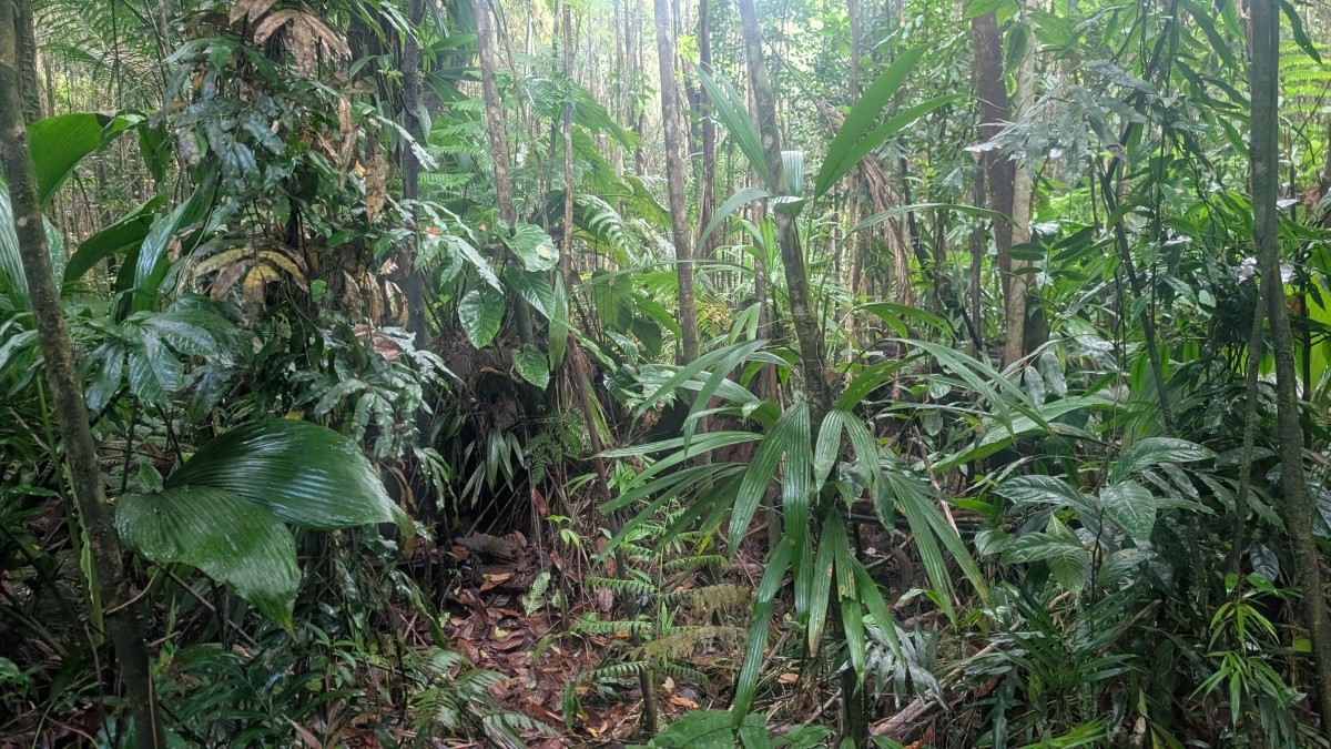 PXL_20251126_132547059.MP