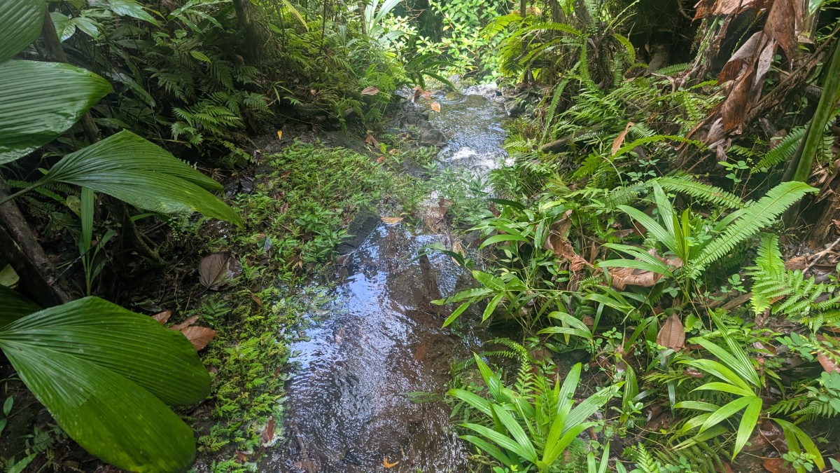 PXL_20251126_132821981