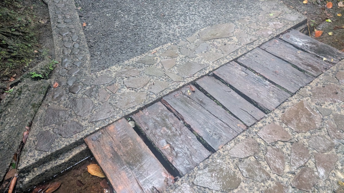 PXL_20251126_132841771