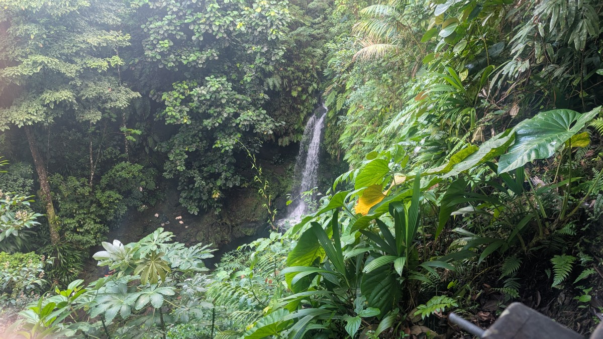 PXL_20251126_132912546