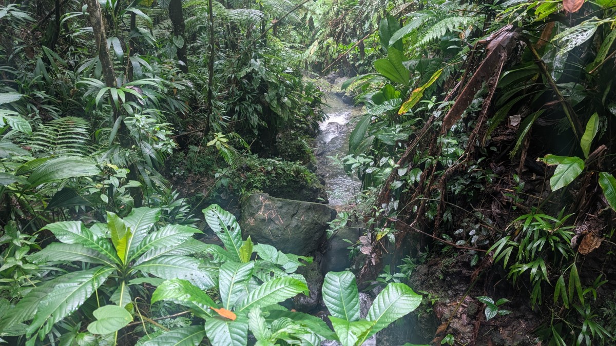 PXL_20251126_135913442