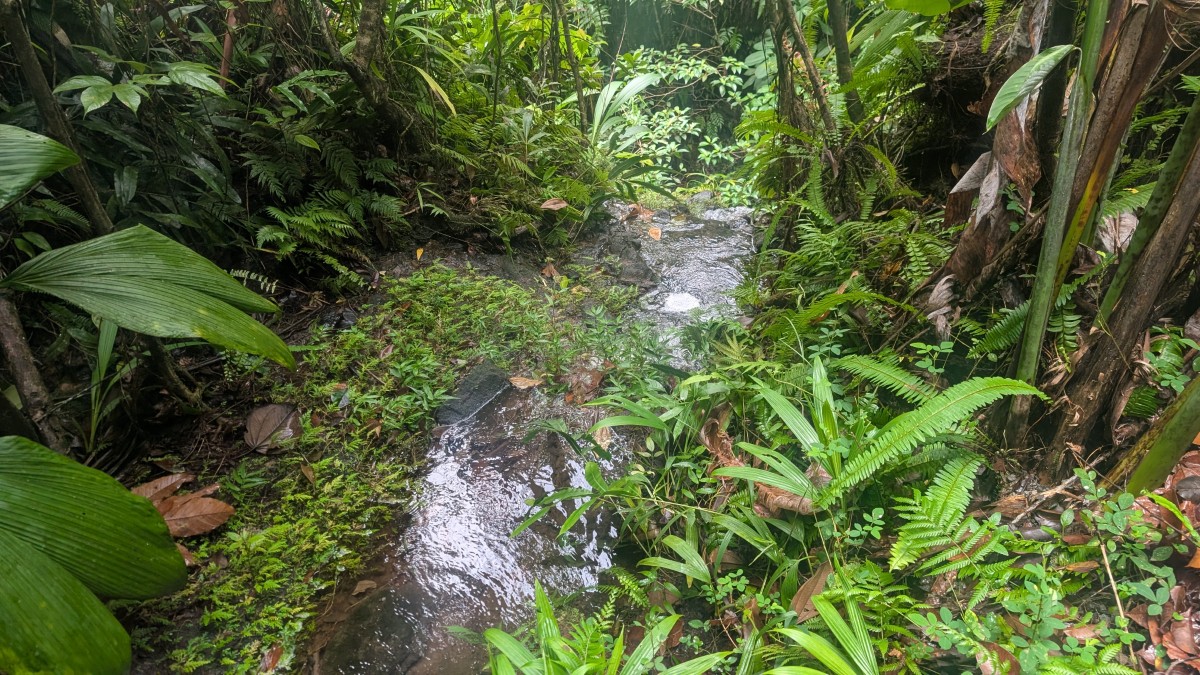 PXL_20251126_140301905