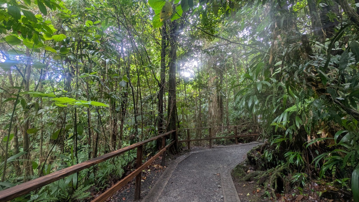 PXL_20251126_140320788