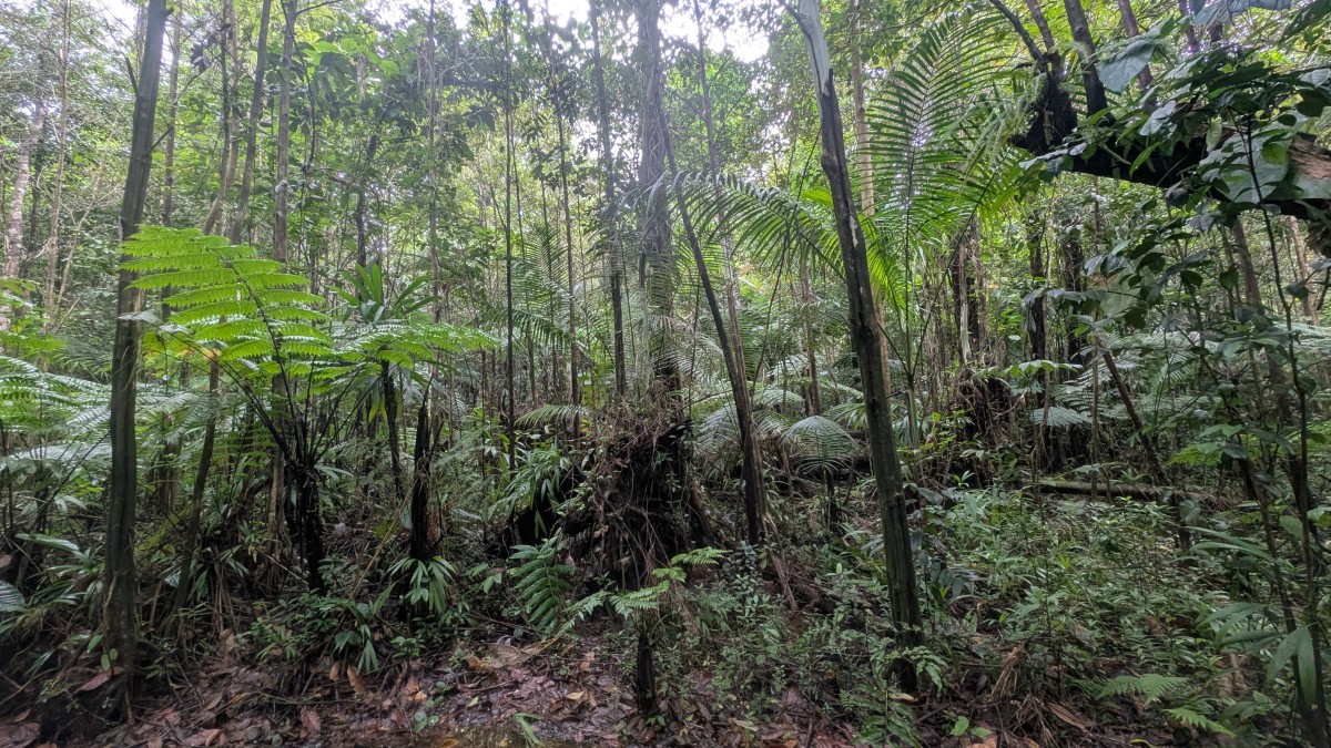 PXL_20251126_140438996