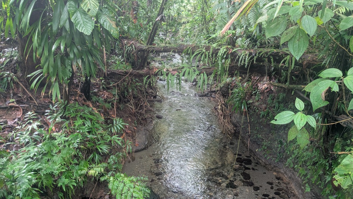 PXL_20251126_140548467