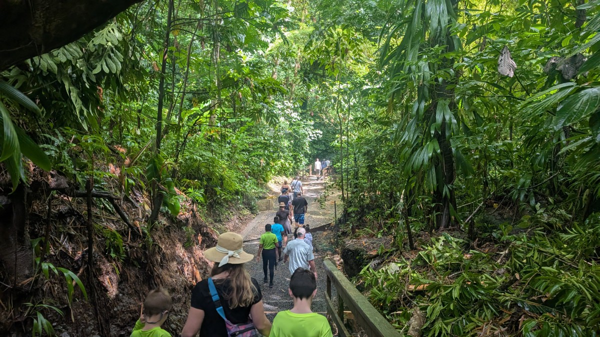 PXL_20251126_161058820