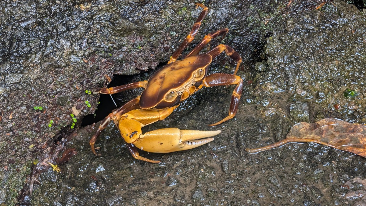 PXL_20251126_161233179