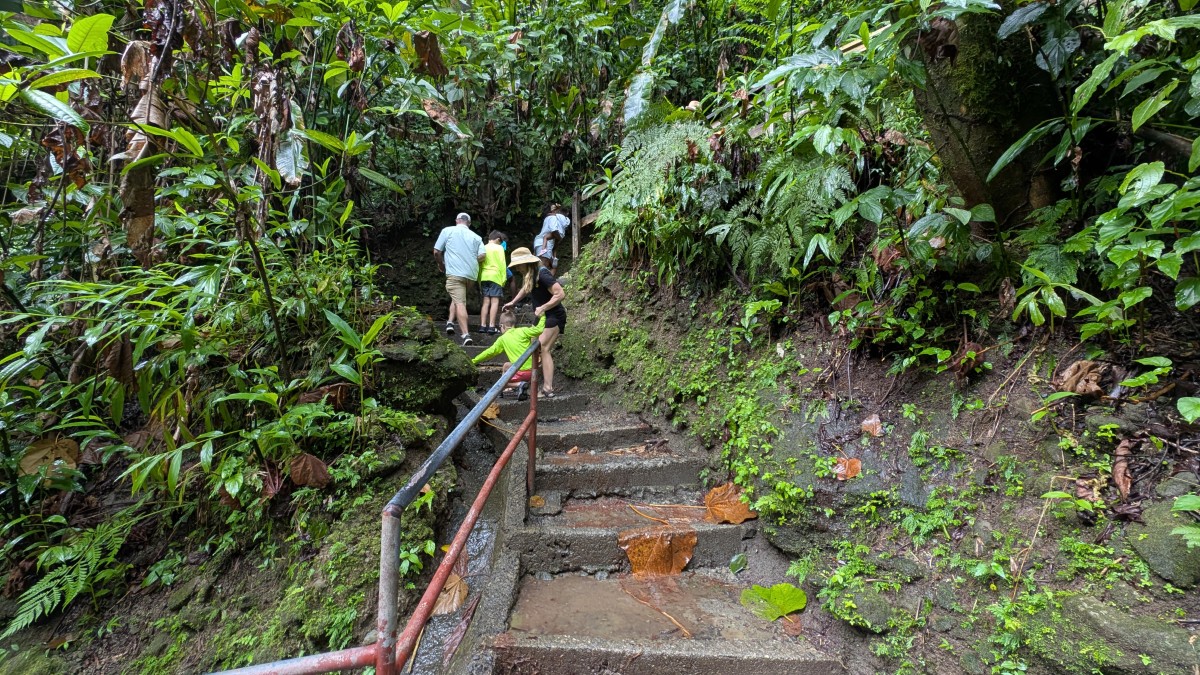 PXL_20251126_161324974