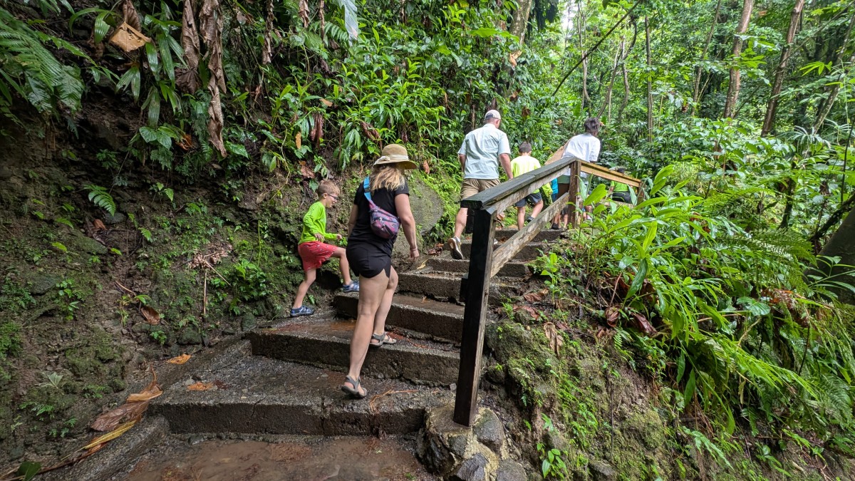 PXL_20251126_161337224