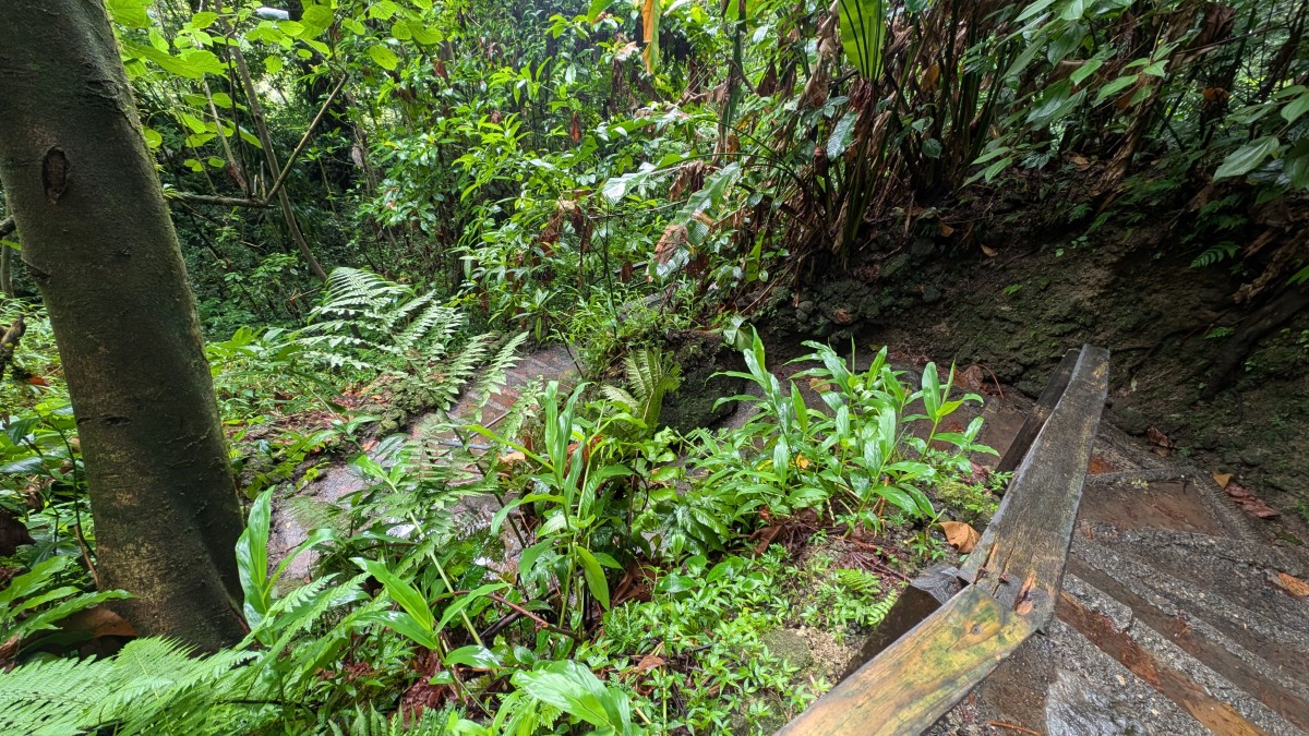 PXL_20251126_161348909