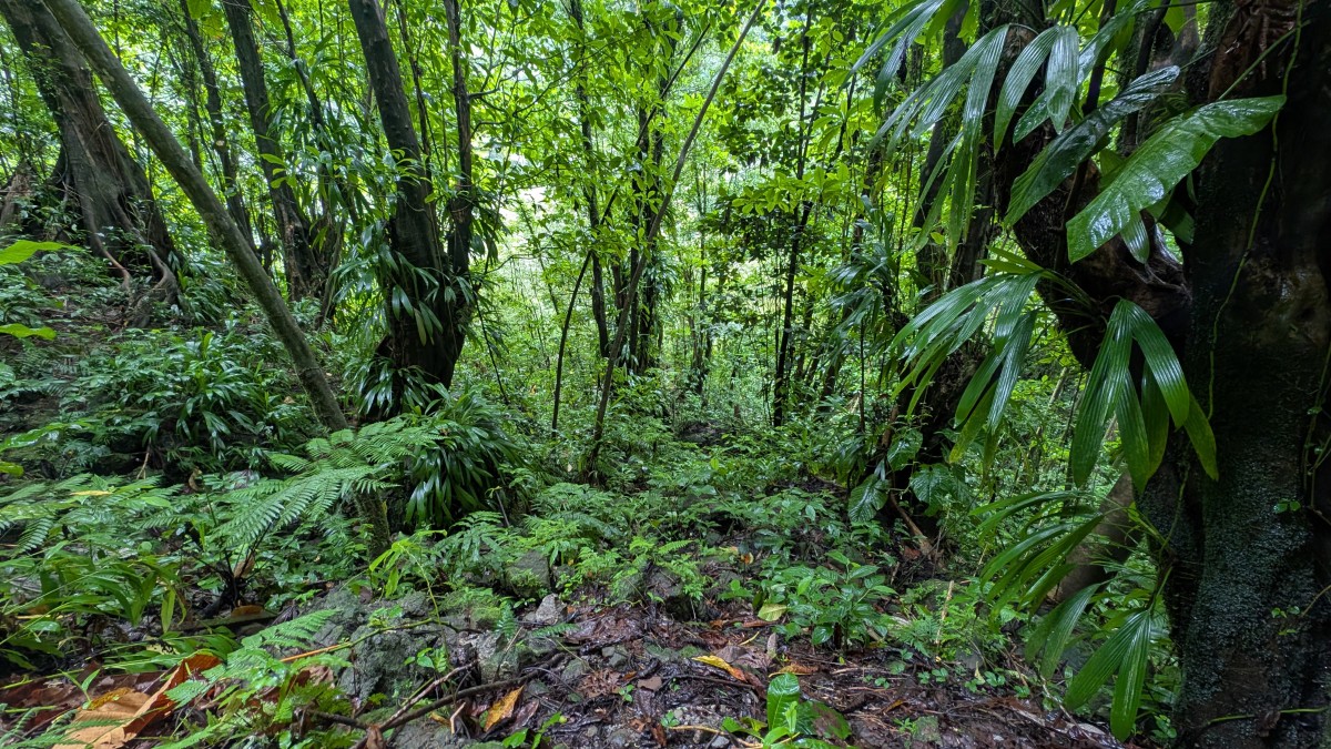 PXL_20251126_161430501