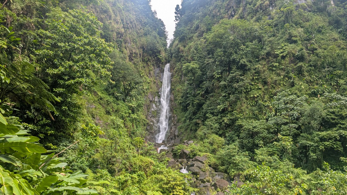 PXL_20251126_161616816.MP