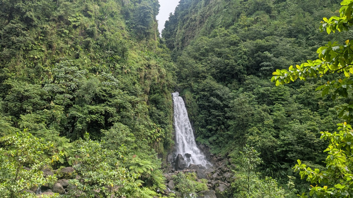 PXL_20251126_161619238