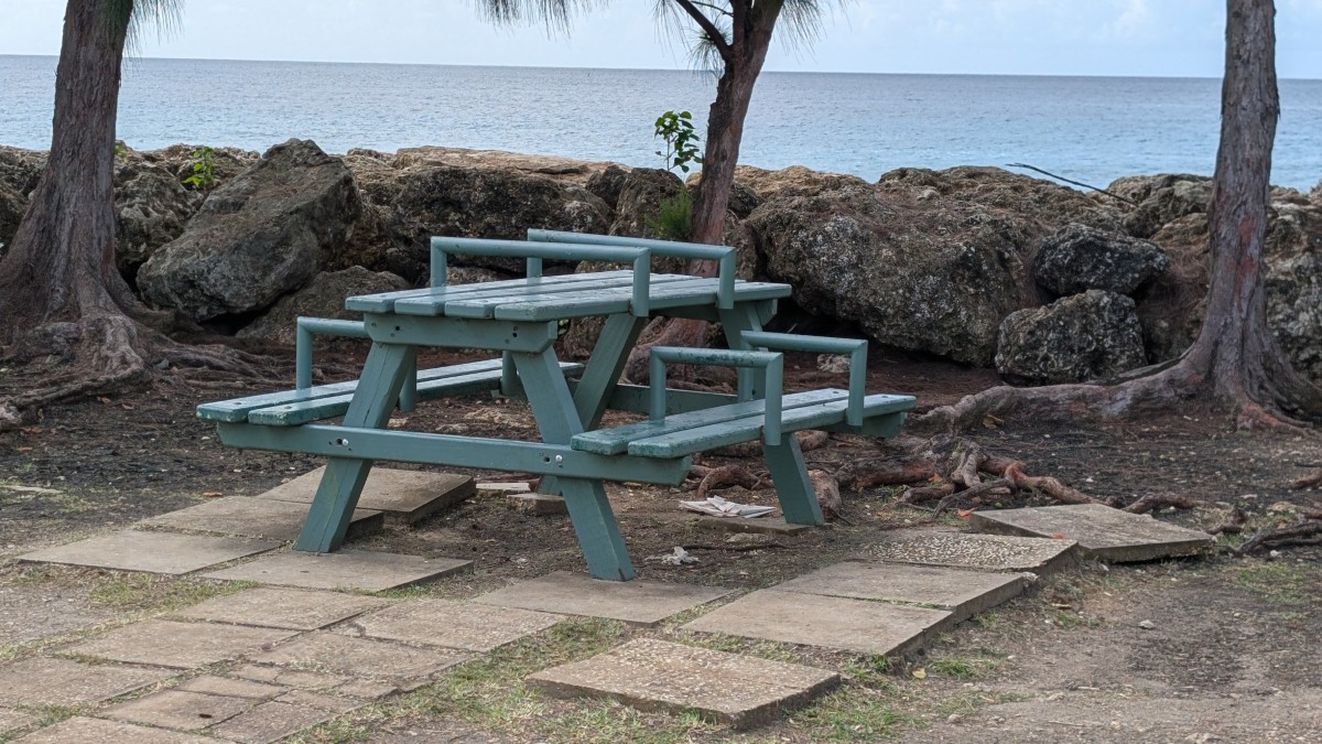 PXL_20251127_130106665