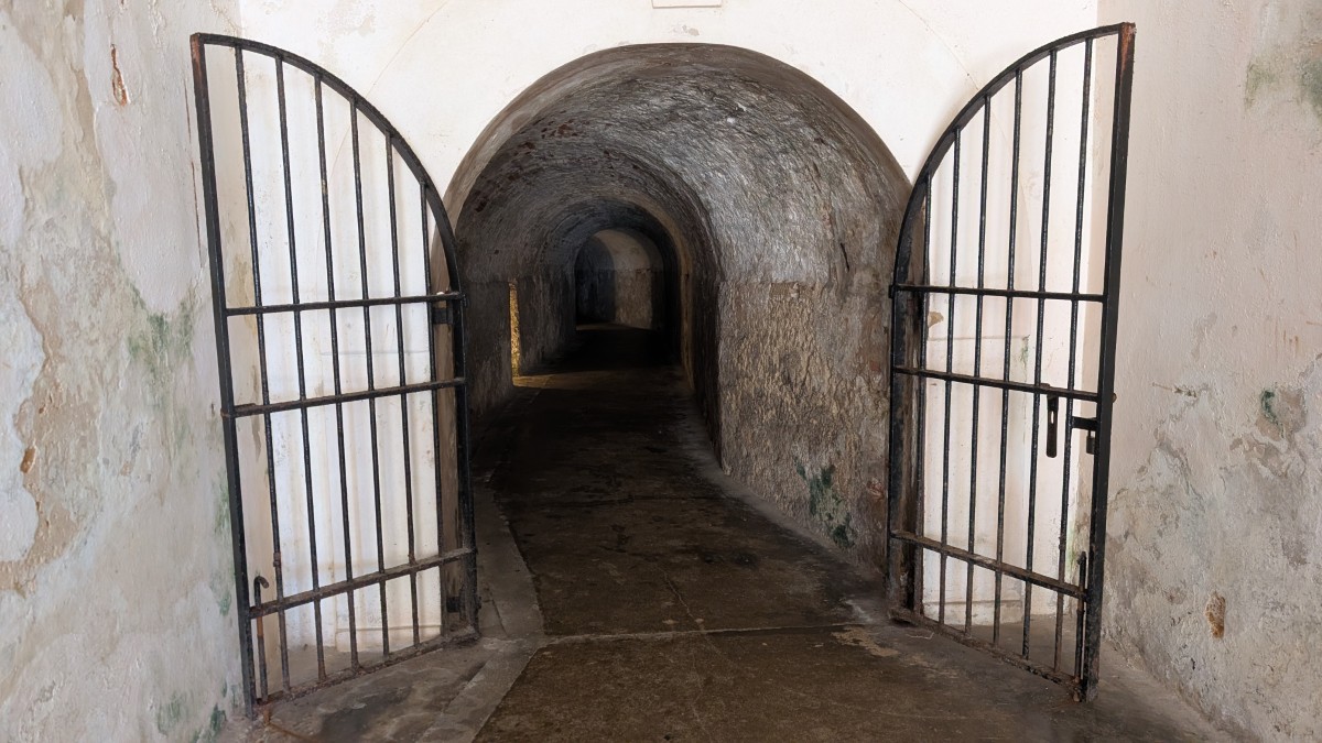 PXL_20251130_160903009.MP