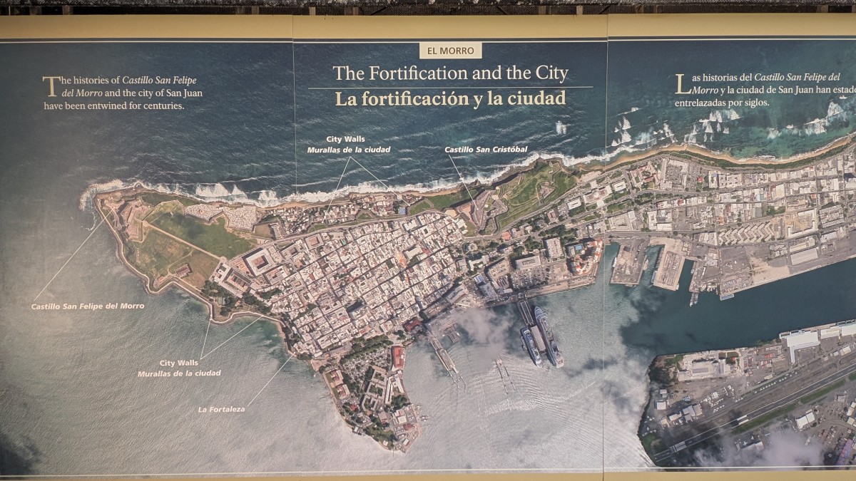 PXL_20251130_170546153.MP