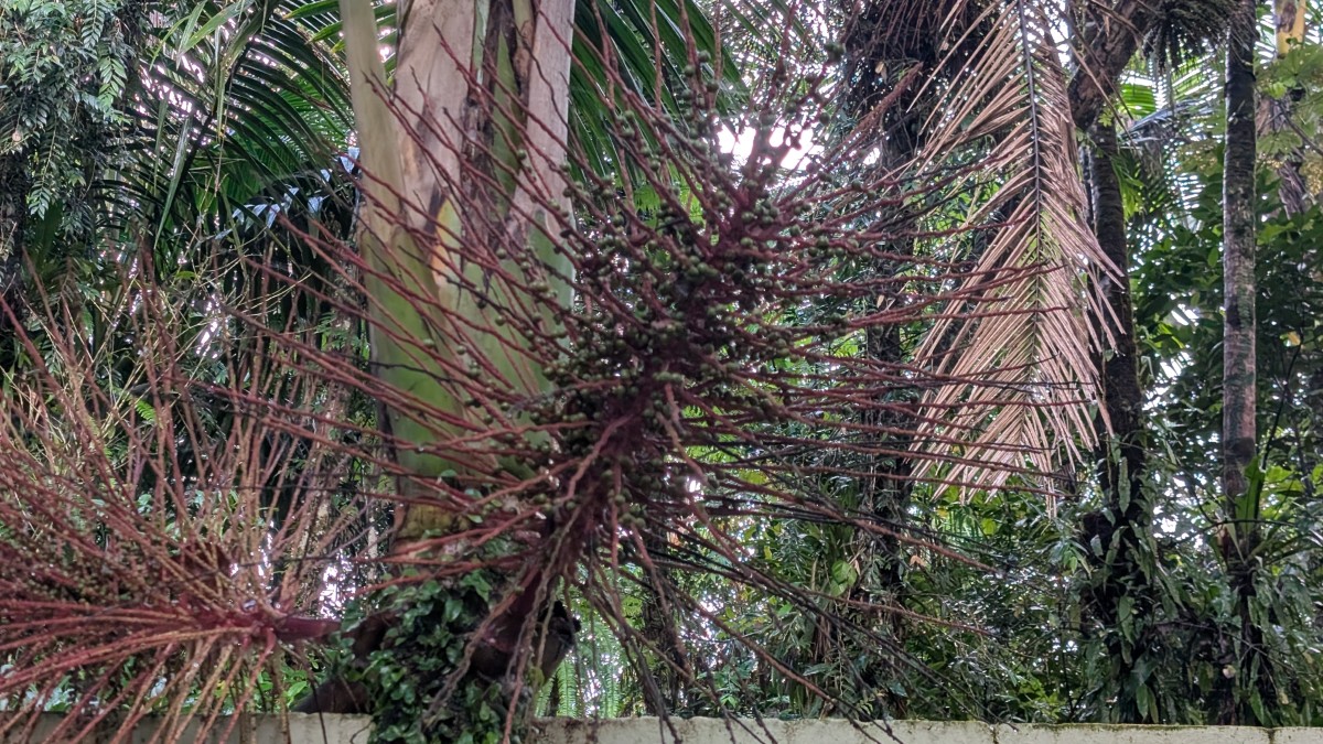 PXL_20251201_134023494