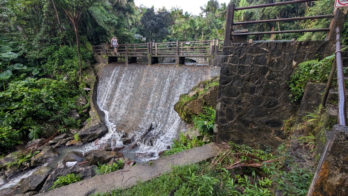 PXL_20251201_134524306