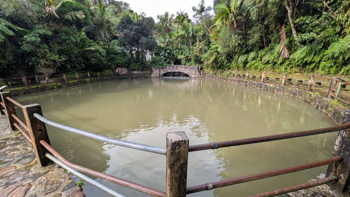 PXL_20251201_134541357