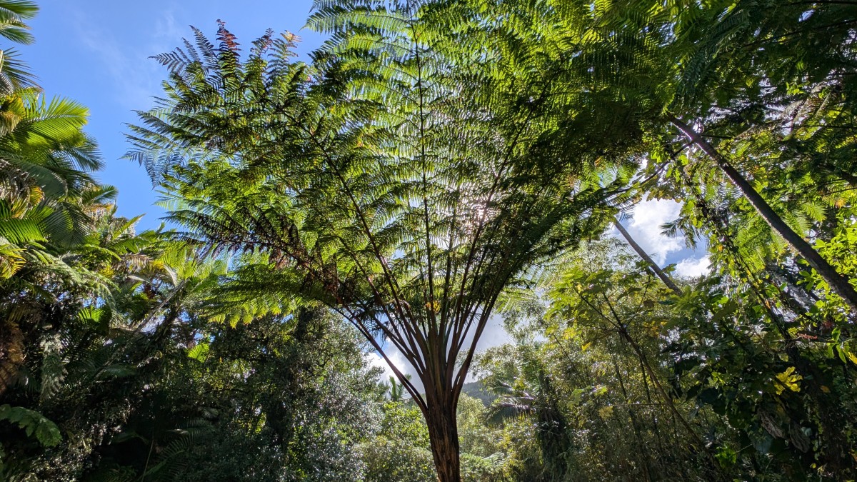 PXL_20251201_134828751