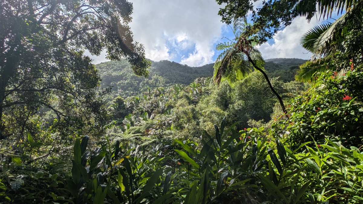 PXL_20251201_135144225