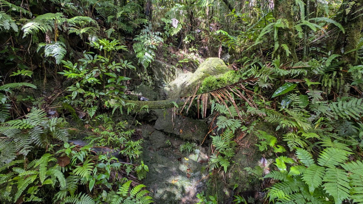 PXL_20251201_140404289