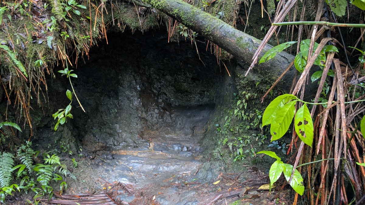 PXL_20251201_140600853