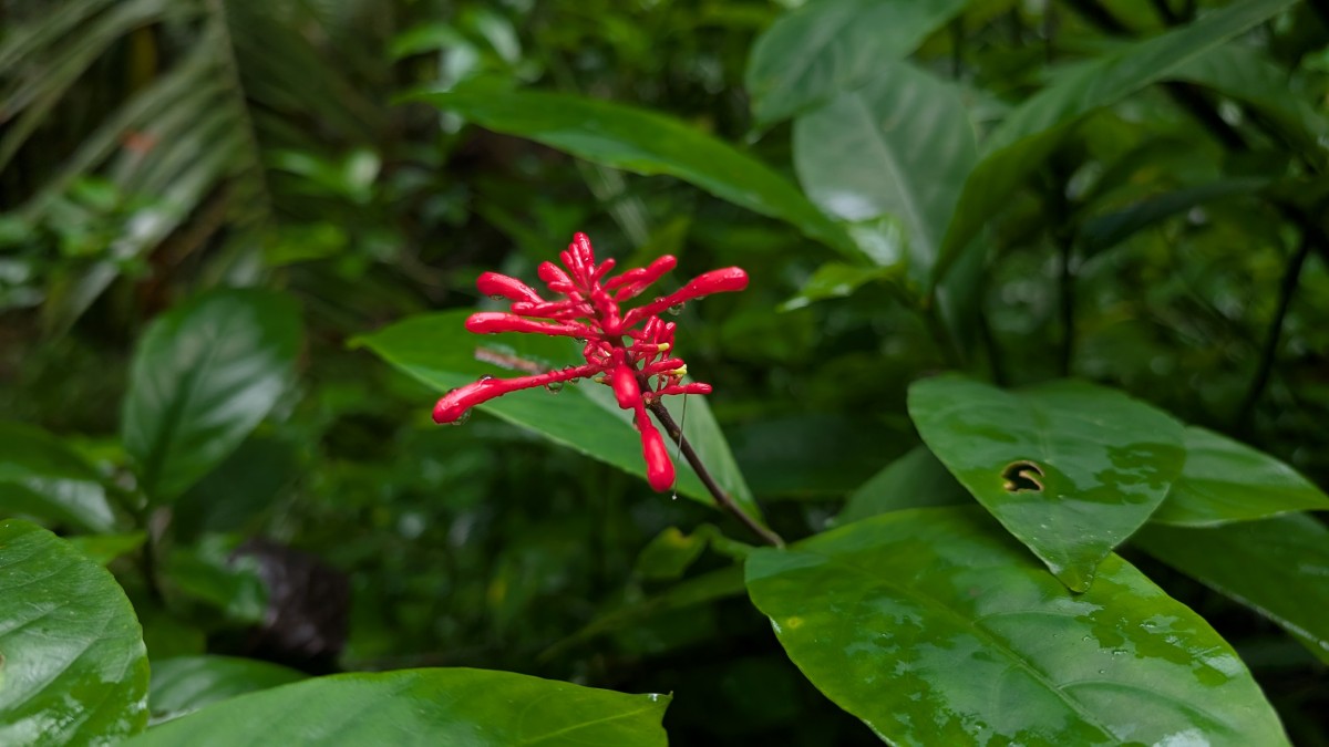 PXL_20251201_140729125.MP