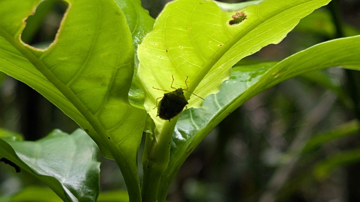 PXL_20251201_141017608