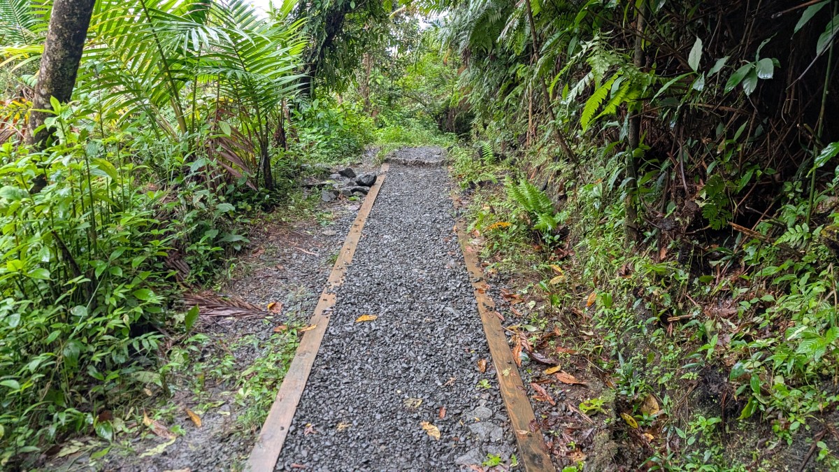 PXL_20251201_141141533