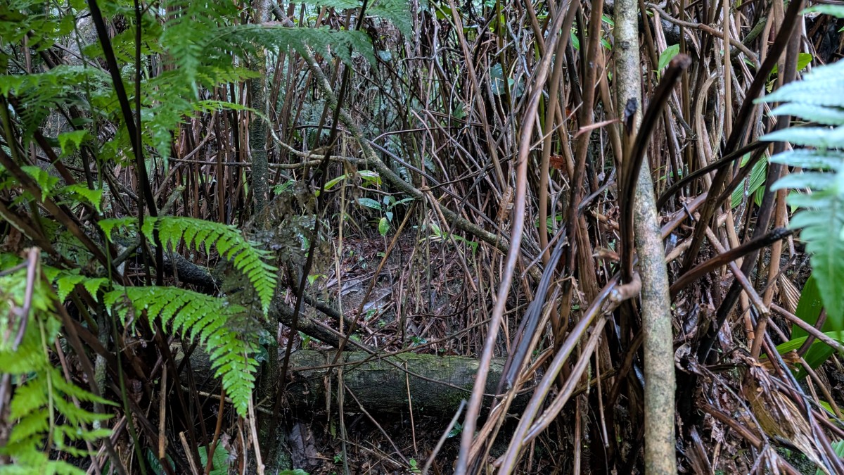 PXL_20251201_141317738