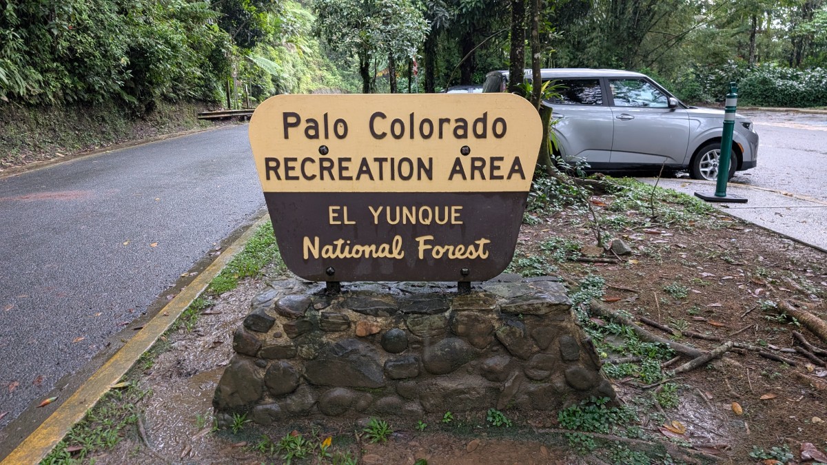 PXL_20251201_141851557.MP