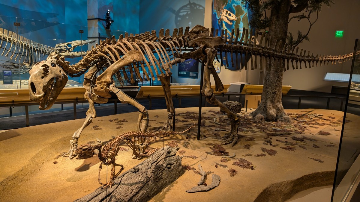 PXL_20251203_173150185