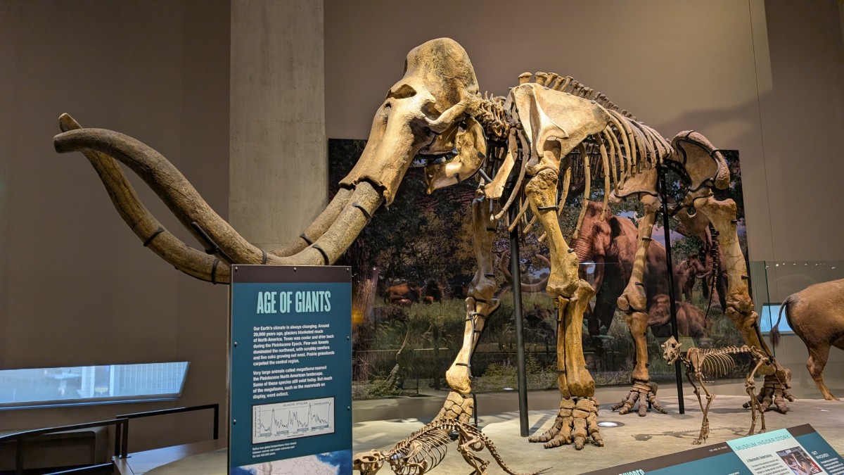 PXL_20251203_173758840