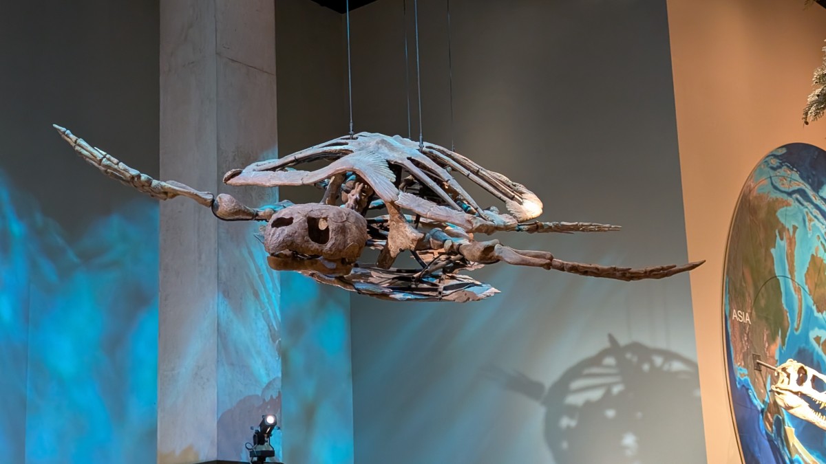 PXL_20251203_173826124