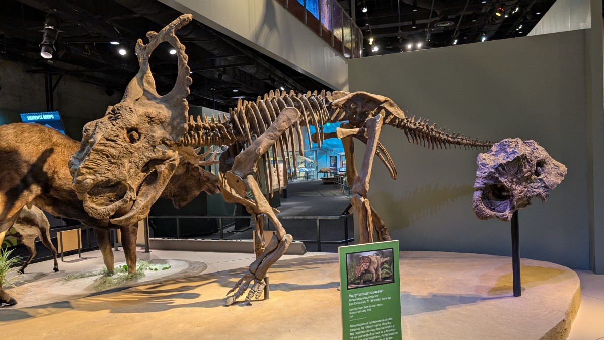 PXL_20251203_174834806