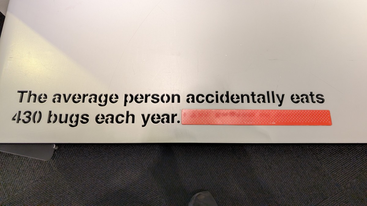 PXL_20251203_183342013