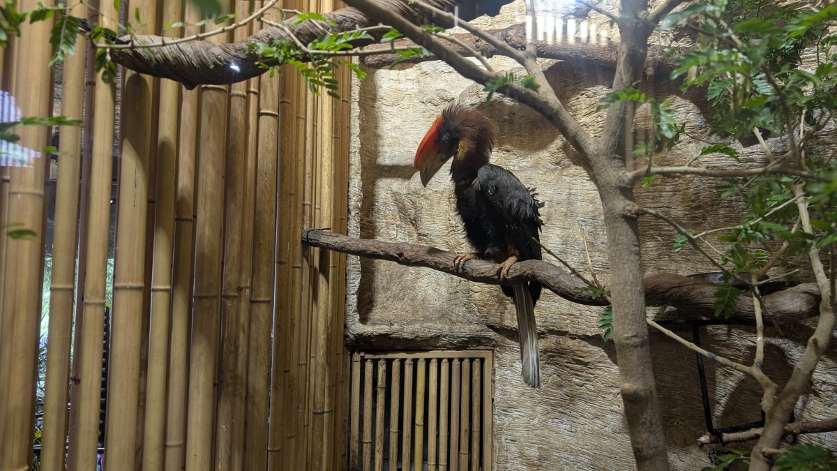 PXL_20251205_165347406.MP