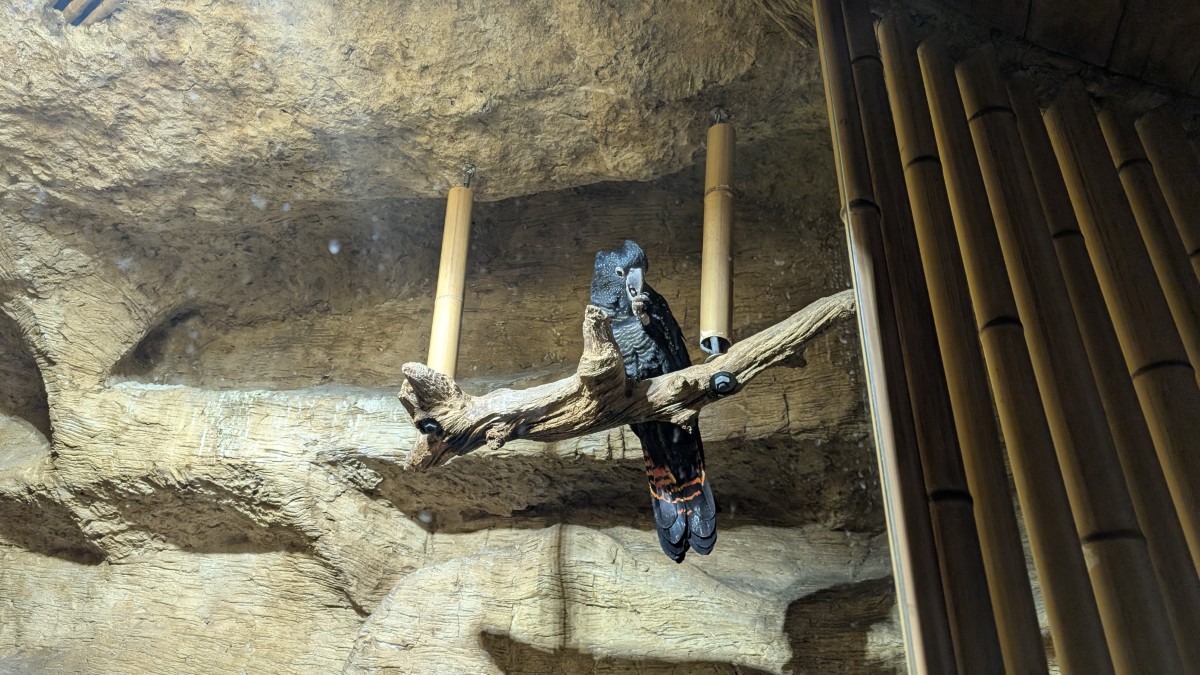 PXL_20251205_165401623