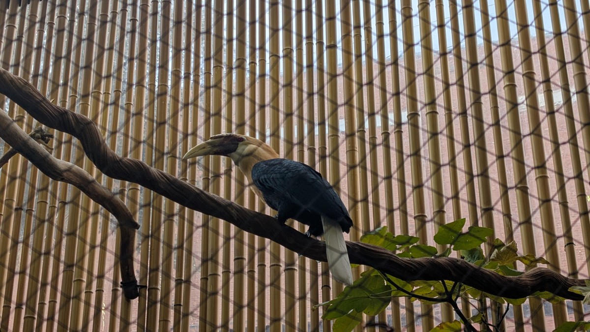 PXL_20251205_165434192