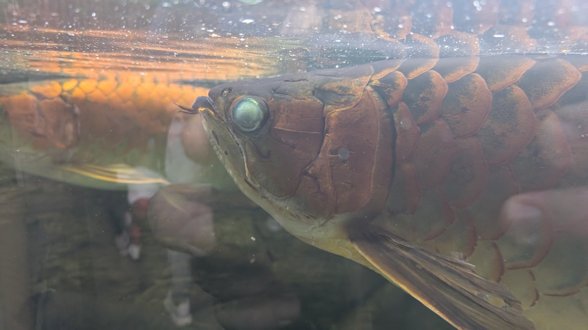 PXL_20251205_165601636