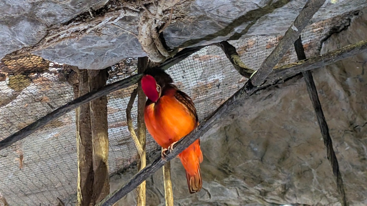 PXL_20251205_170304149