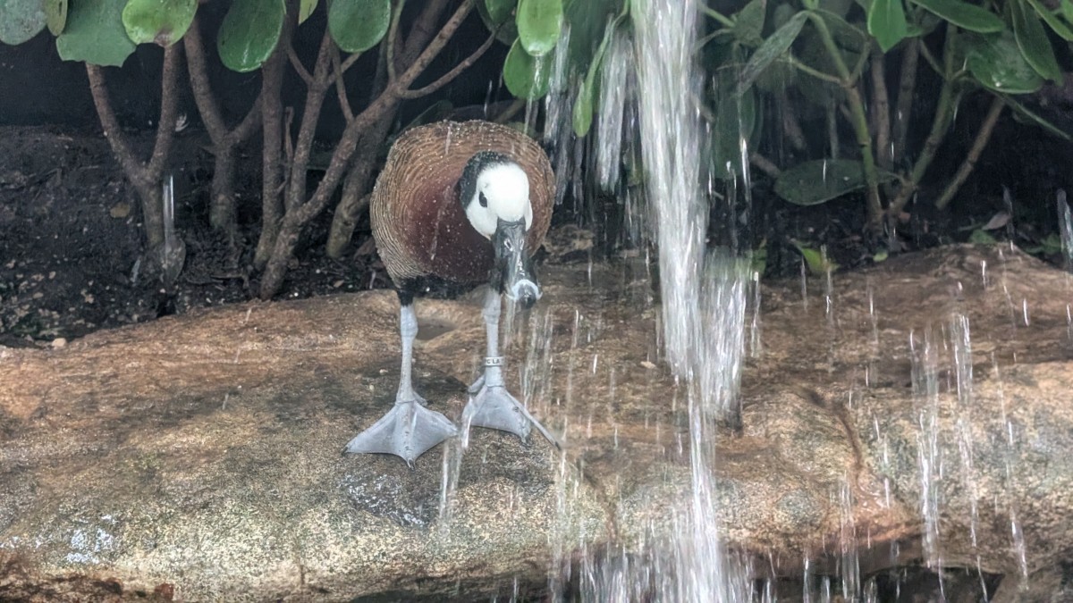 PXL_20251205_170729246