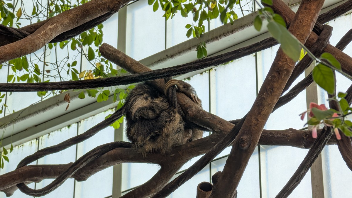 PXL_20251205_170928806