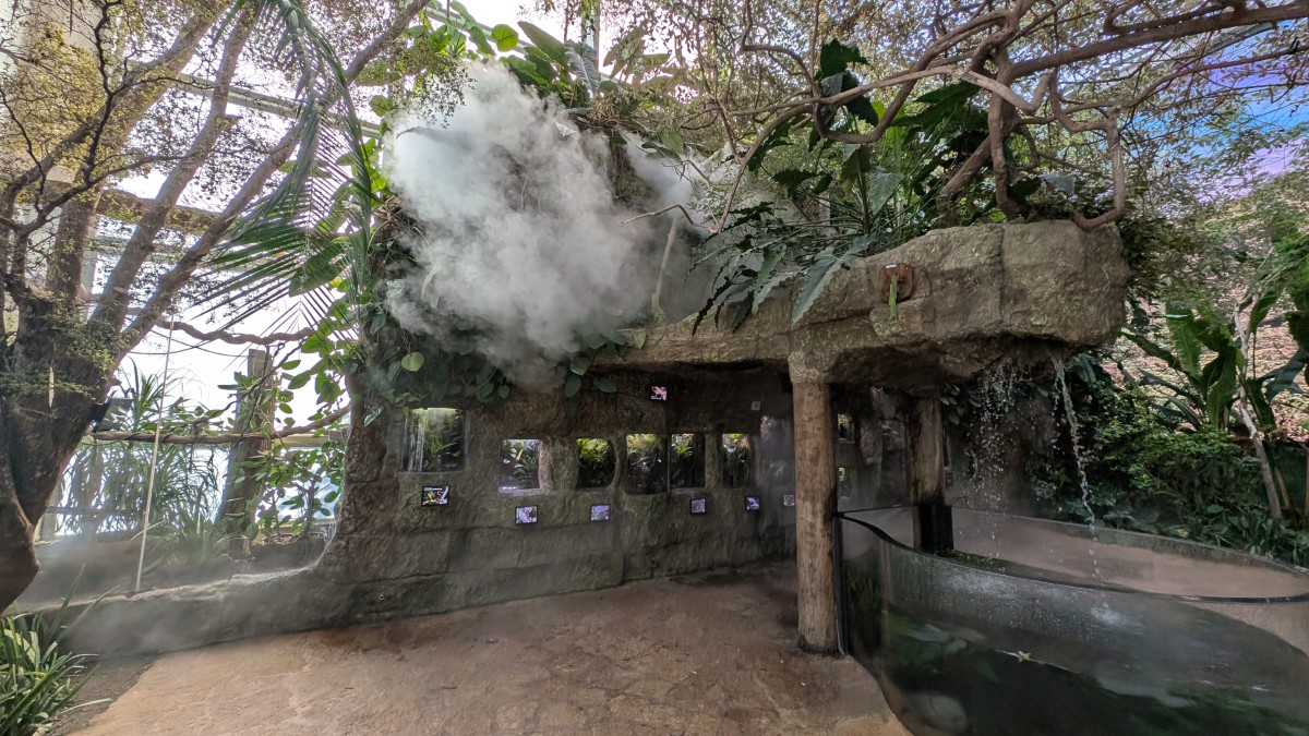 PXL_20251205_170937955