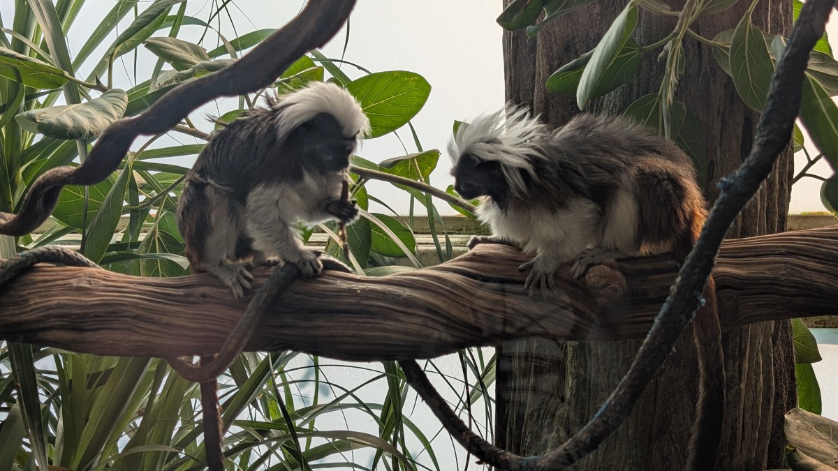 PXL_20251205_171057036