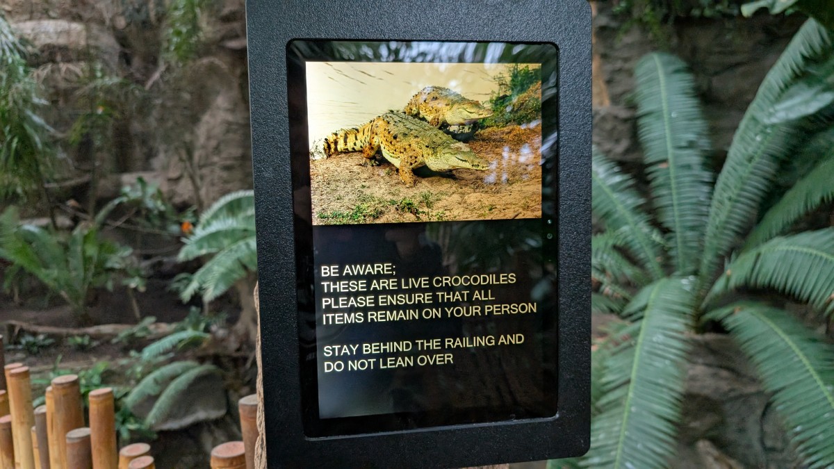 PXL_20251205_171646081.MP