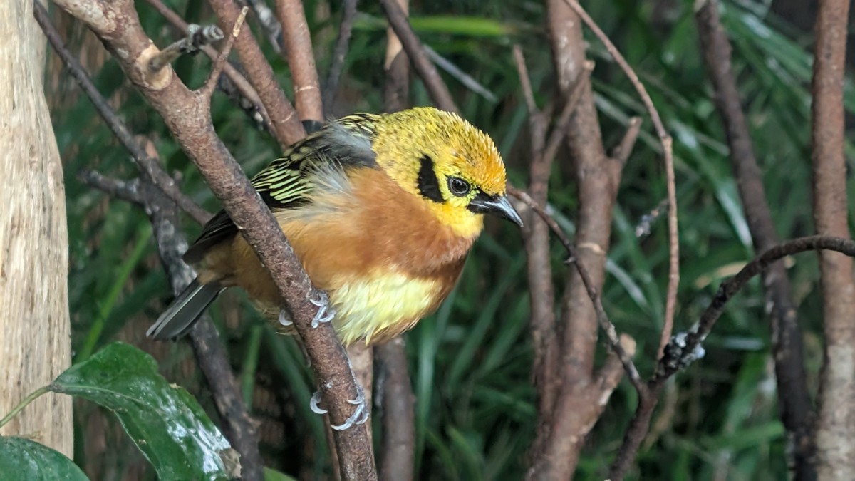 PXL_20251205_172127953